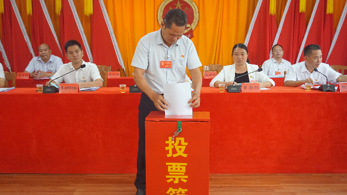 鎮人大代表進行不記名投票.JPG