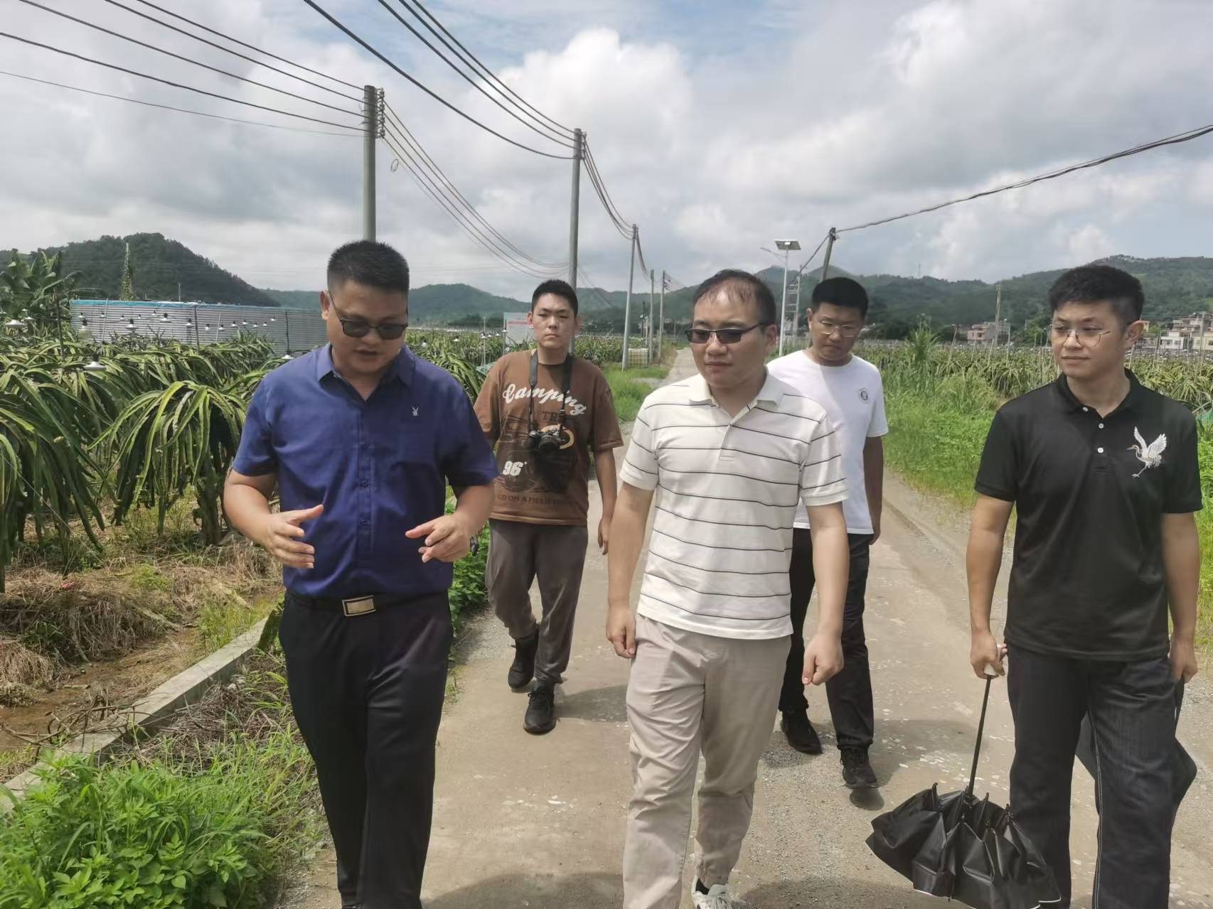 羅村火龍果基地.jpg
