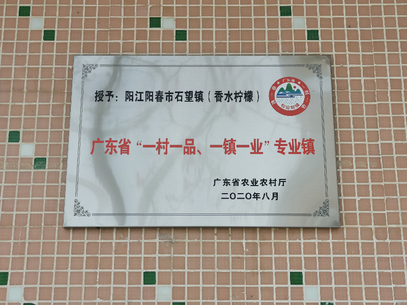 香水檸檬專業鎮牌匾.jpg